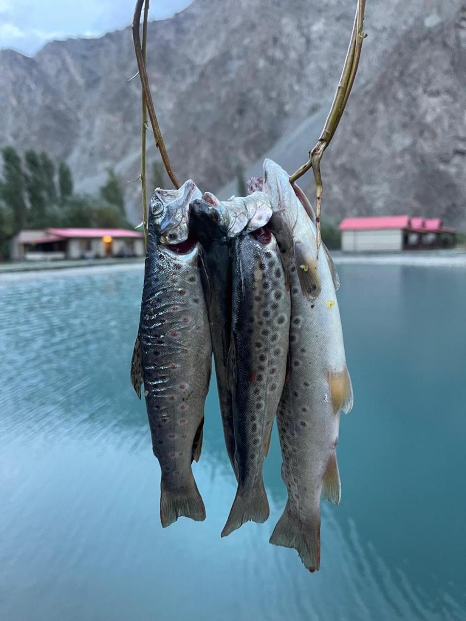 Dream Nest Resorts Skardu Dış mekan fotoğraf